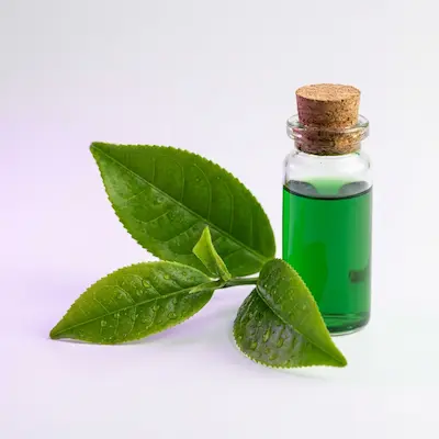 Berberine